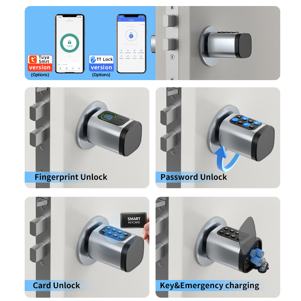 RAYKUBE V1 Tuya BLE TT Lock Sl - Diy Home Electronics recensie en prijs