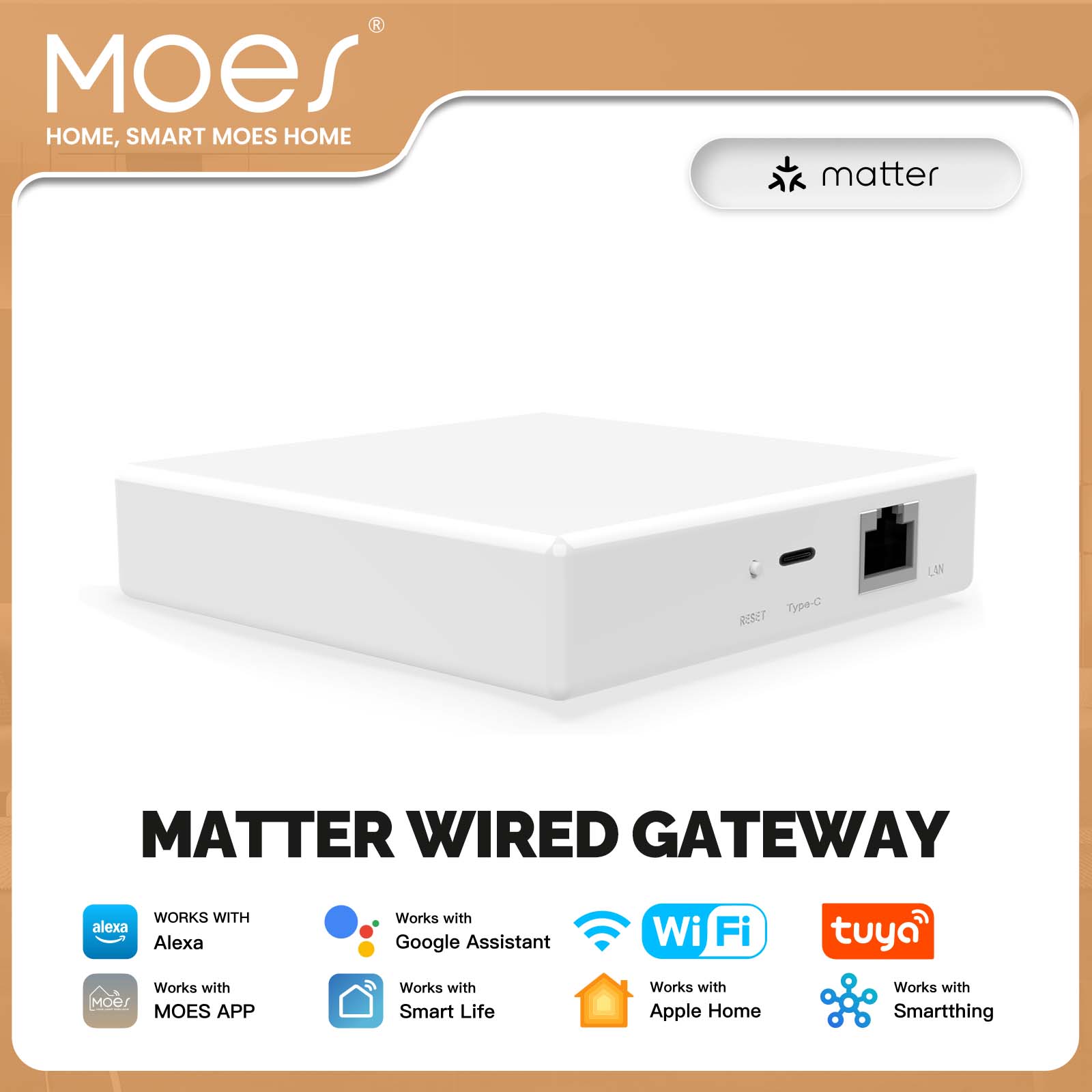 MOES Tuya ZigBee Matter Thread - Diy Home Electronics recensie en prijs